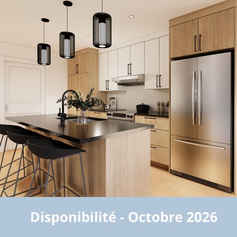 3 1/2 Neuf - Octobre 2026 - Photo 1