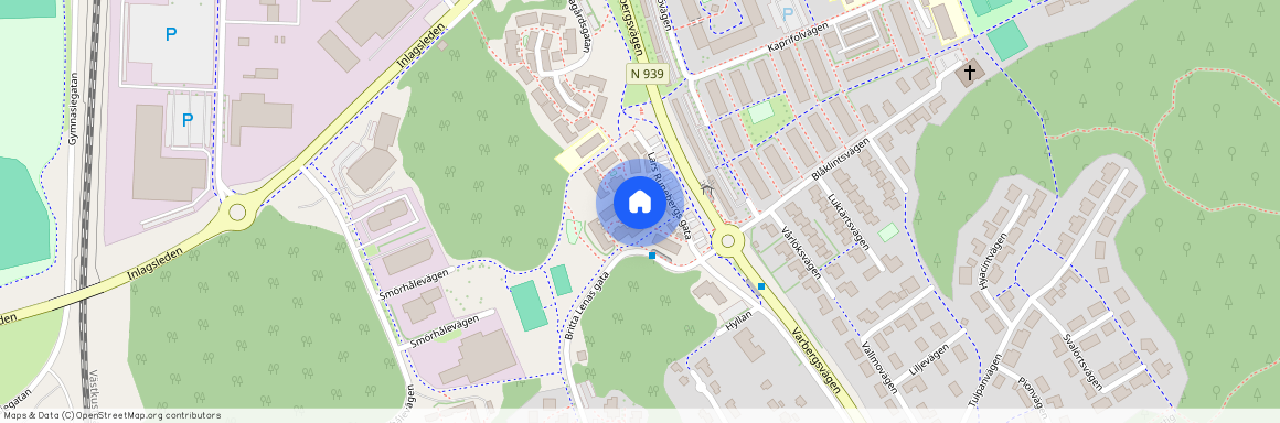 Lars Runebergs gata 45, Västra