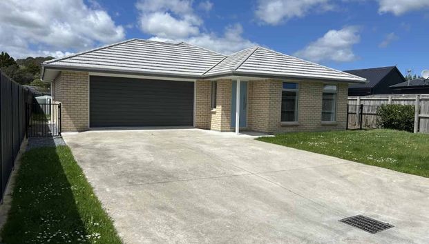PAHIATUA - 3 BEDROOMS - Photo 1