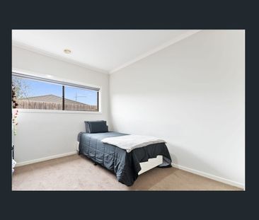 Stylish, Spacious & Low-Maintenance Living in Weir Views - Photo 6