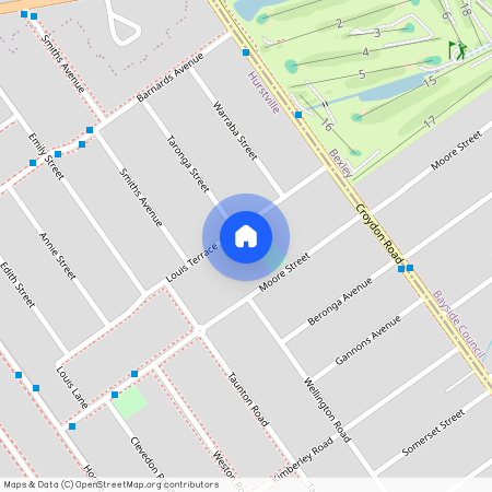 25 Louis Terrace, NSW 2220, Hurstville