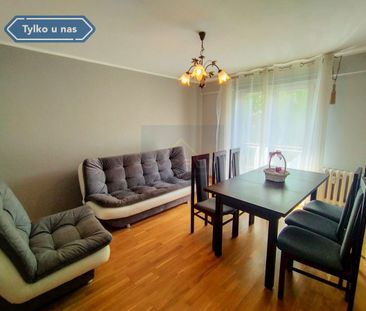 Mieszkanie na Wynajem, 46.10m - Photo 1