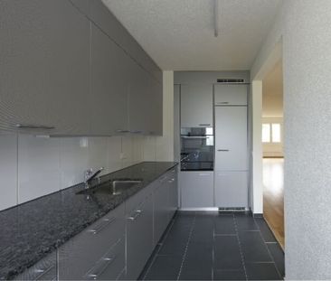 Greifensee La zone de loisirs locale - Photo 4