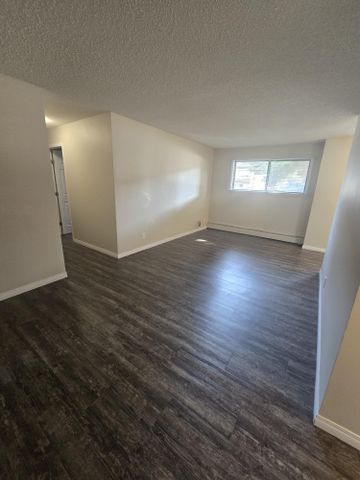 Modern Ground Floor 2 Bedroom in the Heart of Downtown - Photo 3