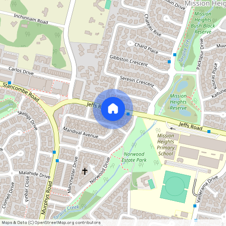 19 Jeffs Road, Flat Bush, Manukau City