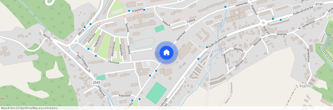 Hamerská, Litvínov