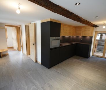 CHARMING APARTMENT FOR RENT IN MASE - Photo 5