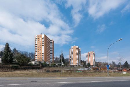 Mitten in der Stadt und doch im Grünen! - Foto 4