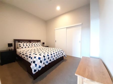 Library Lane Cutie - Photo 5