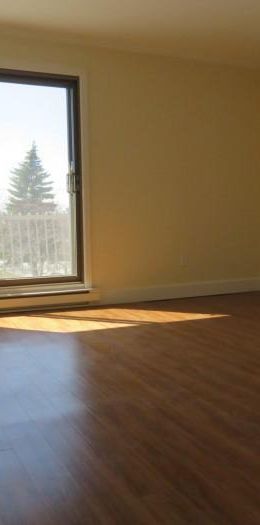 ROSEMONT - GRAND 4 1/2 en face de l'Hôpital Santa Cabrini - Photo 1