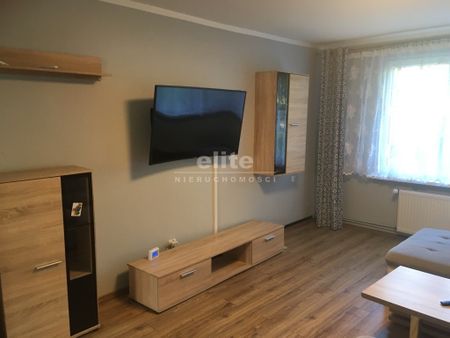 Żółwia Błoć - Photo 3