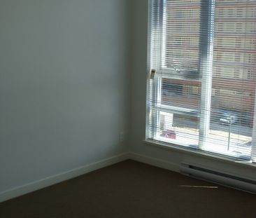 1 Bedroom - Photo 1