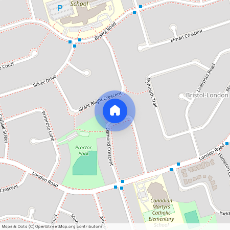 252 Osmond Crescent Unit# Walk Out Basem…, Newmarket