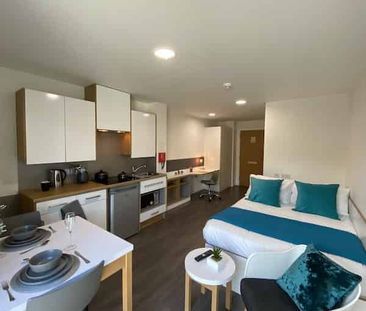 Studio Bronze - Photo 3