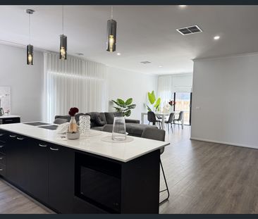 Spacious Family Living in Junction Village - Photo 6