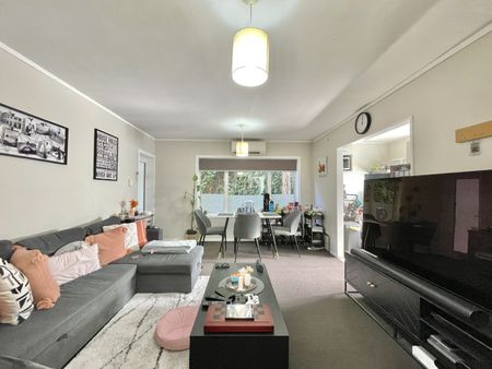Tidy 2 bedroom Unit + Carpark - Newtown - Photo 4
