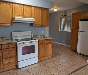 For Lease - 349 TUSCARORA Unit# MAIN, Windsor, Ontario - Photo 5