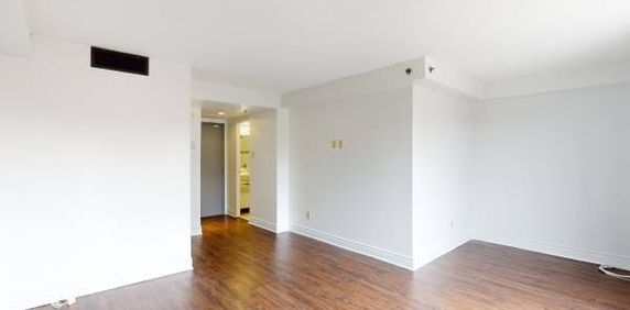 Centretown Apartment April 1st - AC/Heat/Hydro/Water included - Photo 2