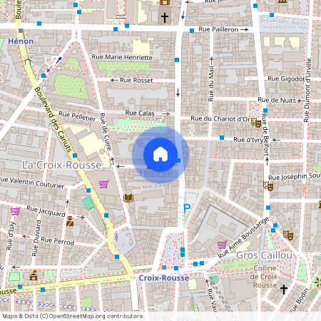 8 RUE DUMONT, 4EME, Lyon