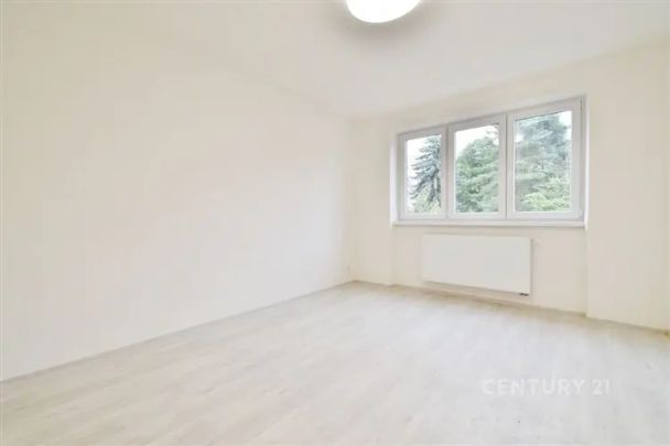 Byt po kompletní rekonstrukci 2+1 s balkónem, 57 m - Photo 1