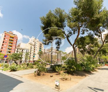 Studio for Rent on Padua Street - Photo 2