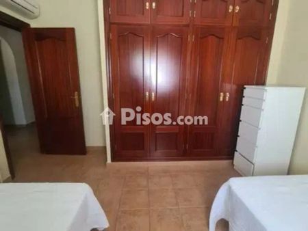 Chalet en alquiler en Calle Carril El Mudito, 2 - Photo 4