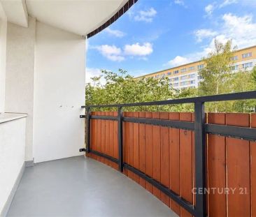 Pronájem útulného 1+KK po rekonstrukci, Ježkova - Photo 1