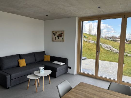 2-ROOM APARTMENT IN ERMATINGEN (TG), FURNISHED, TEMPORARY - Photo 1