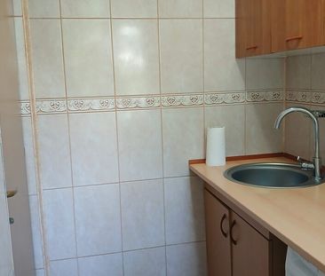 Drumul Taberei, Moghioros, contract ANAF inclus. - Photo 5