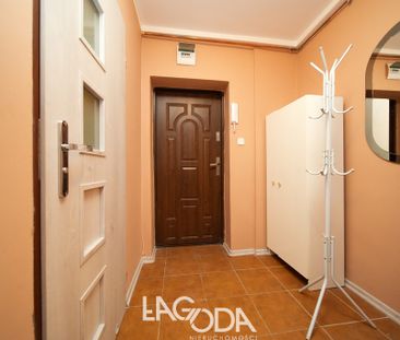 Gorzów Wielkopolski - Zdjęcie 2