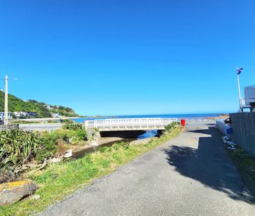 Owhiro Bay Living! - Photo 5