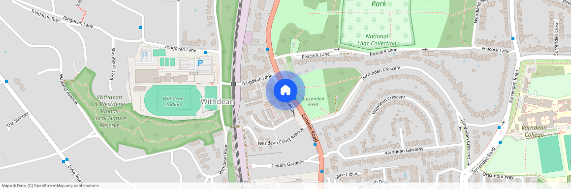 Withdean Rise, Brighton BN1