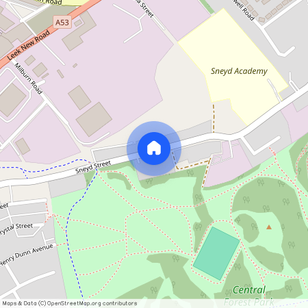 forest edge Sneyd Street, Stoke-On-Trent