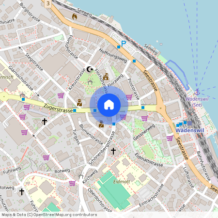 Auf Anfrage, 8820 Wädenswil