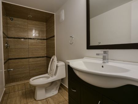 For Lease - 19 Blazing Star Drive Unit# Basement Unit, Brampton, Ontario - Photo 5
