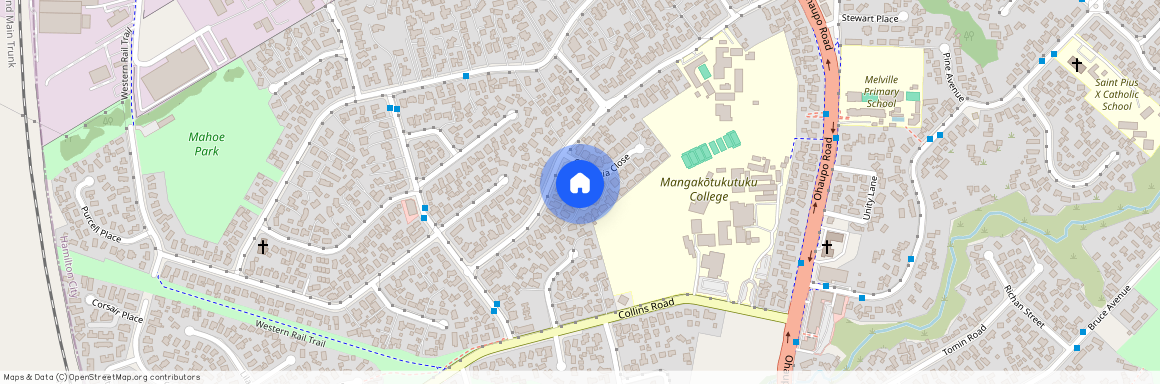 6 Grevillea Place, Melville, Hamilton City