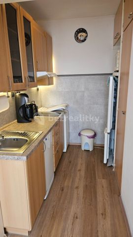Pronájem bytu 1+kk • 31 m² bez realitkyNa Vrších, Praha - Strašnice - Photo 3