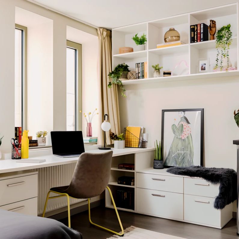 Extra Large Studio - Photo 1