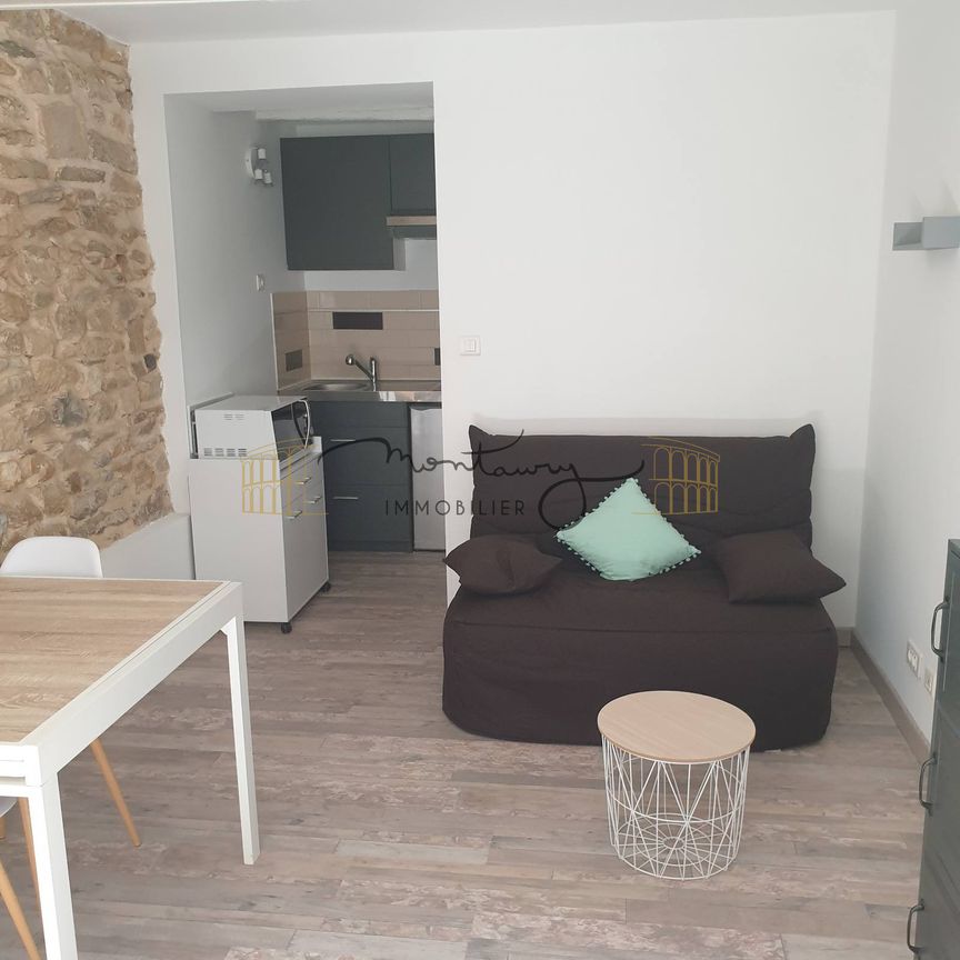 Location Appartement 1 pièce 16m² NIMES 30900 - Photo 1