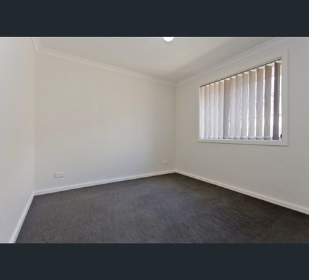 300 Kaitlers Road, Springdale Heights, NSW 2641 - Photo 5
