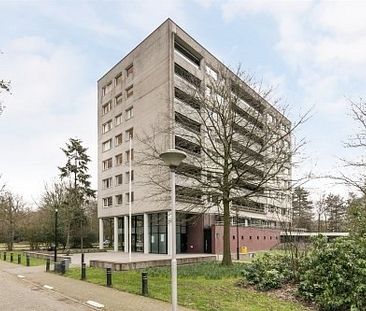 Magentahof 0ong, 5044 SJ Tilburg, Nederland - Photo 3