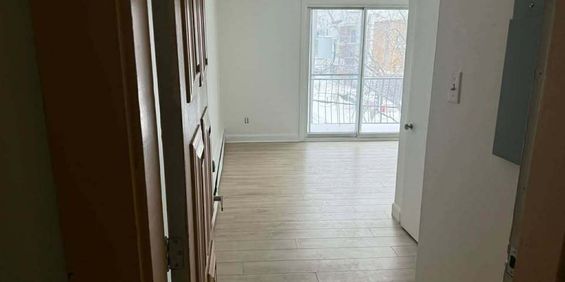 Magnifique Studio (1 ½) - Photo 3