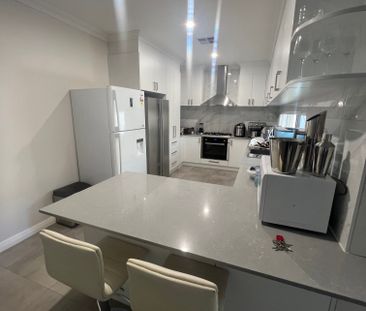 Parmelia - Photo 3