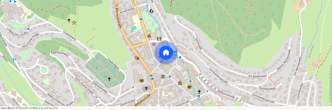 78120 Baden-Württemberg - Furtwangen