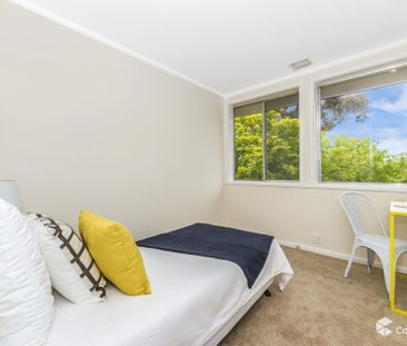 84 Serpentine Street, Duffy ACT 2611 - House For Rent | Domain - Photo 4