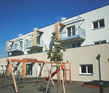 Charmante 3-Zimmer-Wohnung mit großem Balkon in Unterolberndorf - Foto 1