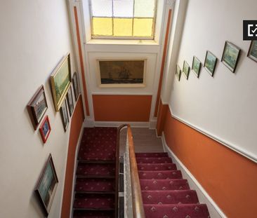 Practical studio flat to rent in Rathgar, Dublin - Photo 3