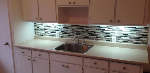 4 1/2 - Montréal (Rosemont) - 1 400 $/mois - Photo 2