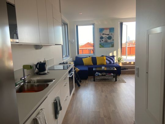 Neptunigatan, Malmö - Photo 1