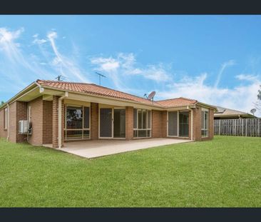 Stunning Family Home in Bellmere! - Photo 6